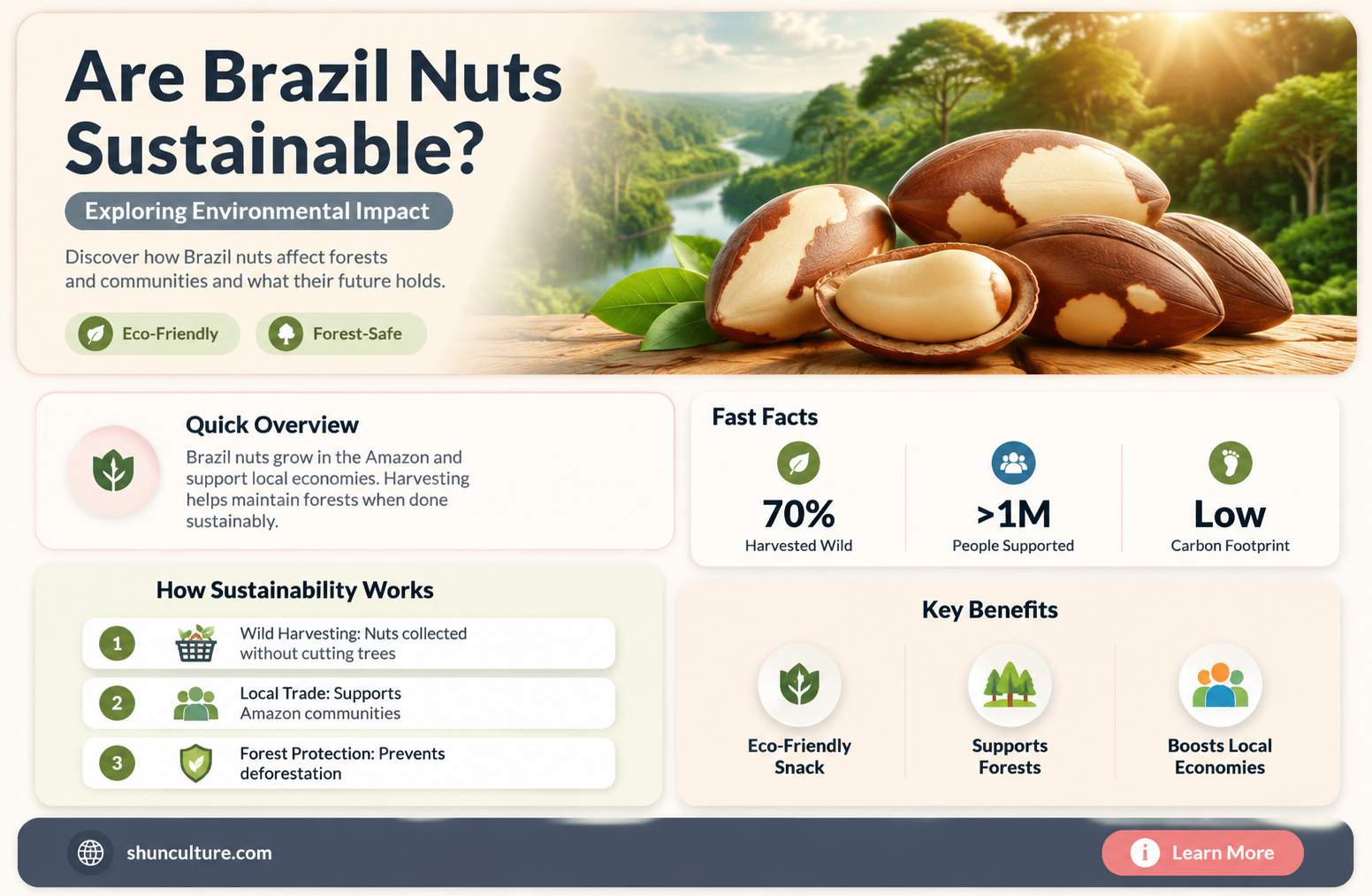 are brazil nuts sustainable
