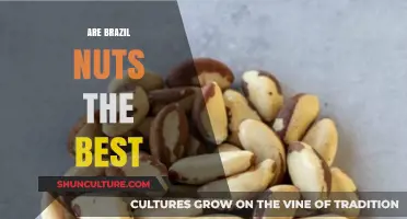 Are Brazil Nuts the Ultimate Superfood? Uncovering Their Health Benefits