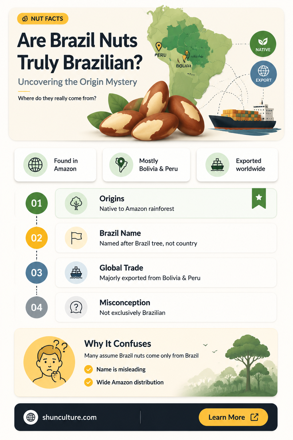 are brazil nuts from brazil