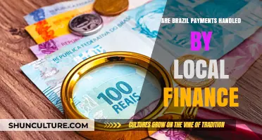 Are Brazil Payments Managed by Local Finance Systems?