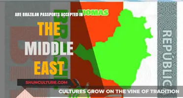 Brazilian Passports in the Middle East: Acceptance and Travel Guidelines