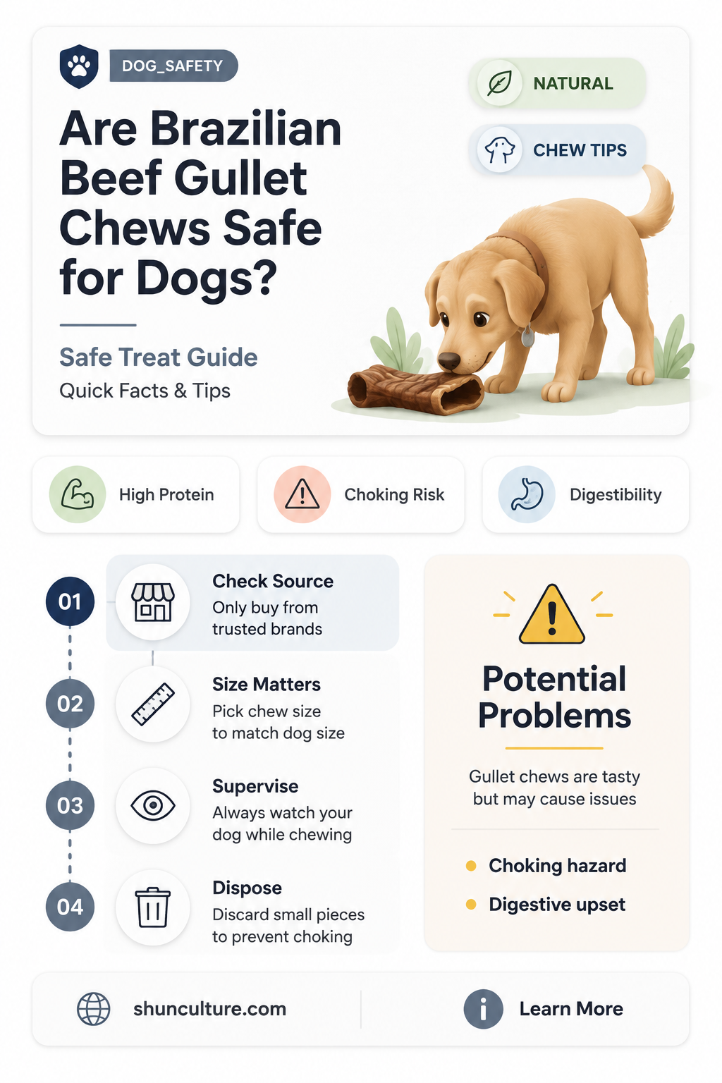 are beef gullet chews from brazil safe