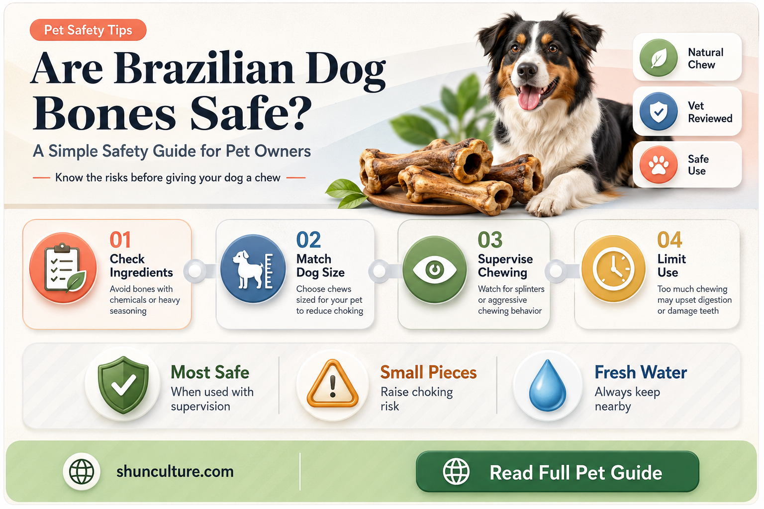 are dog bones from brazil safe