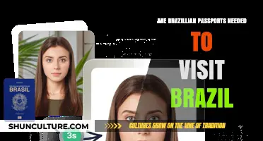 Do Brazilians Need Their Own Passport to Visit Brazil?