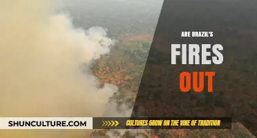 Are Brazil's Devastating Fires Finally Under Control? Latest Updates