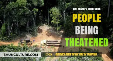 Brazil's Indigenous Communities: Facing Threats to Their Land and Culture