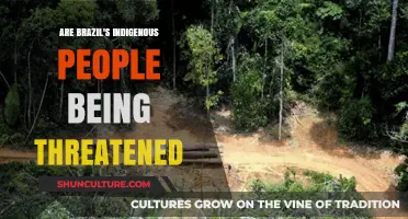 Brazil's Indigenous Communities Face Growing Threats: What's at Stake?