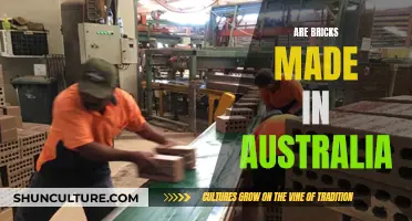 Australian Bricks: Local or Imported?