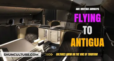 British Airways Antigua Flights: Current Routes and Travel Updates