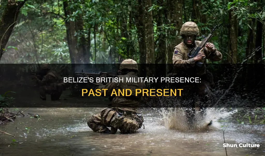 are british troops still in belize