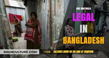 Are Brothels Legal in Bangladesh? Exploring the Country's Sex Work Laws