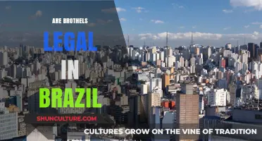 Are Brothels Legal in Brazil? Exploring the Country's Sex Work Laws