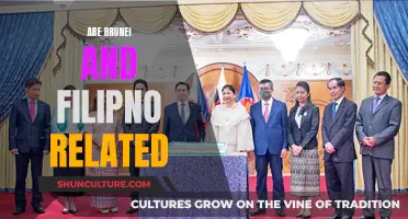 The Cultural Link Between Brunei and Filipino Heritage