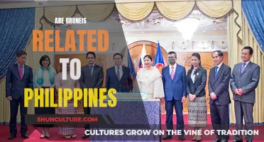 Brunei and the Philippines: A Historical Relationship Explored