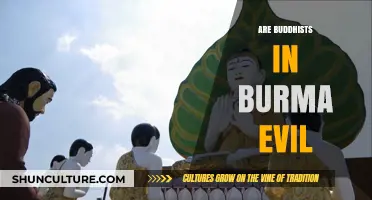 Unveiling the Truth: Misconceptions about Buddhists in Burma