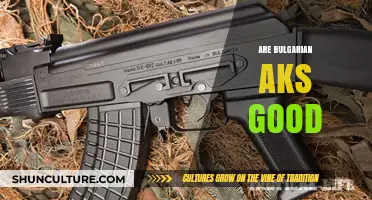 Exploring the Reliability and Performance of Bulgarian AKs