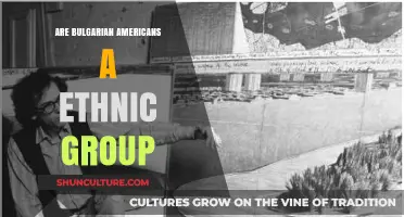 Exploring the Identity: Are Bulgarian Americans an Ethnic Group?