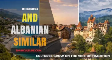 Exploring the Intricacies: Are Bulgarian and Albanian Similar?