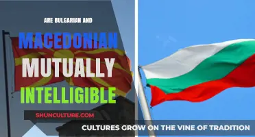 Exploring the Linguistic Bridge: Bulgarian and Macedonian Mutual Intelligibility