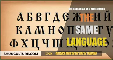 Exploring the Linguistic Connection: Bulgarian and Macedonian