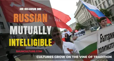 Exploring Mutual Intelligibility: Bulgarian and Russian Language Connection