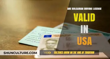 Exploring the Validity of Bulgarian Driving Licenses in the USA