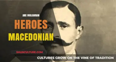 Exploring the Complex Identities of Bulgarian and Macedonian Heroes