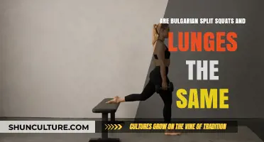 Bulgarian Split Squats vs. Lunges: Understanding the Key Differences