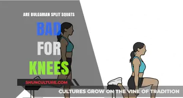 Debunking Myths: Bulgarian Split Squats and Knee Health