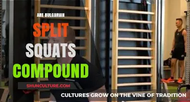 Unlocking Lower Body Strength: The Power of Bulgarian Split Squats