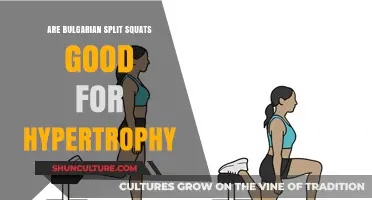 Unlocking Hypertrophy: The Bulgarian Split Squat Advantage