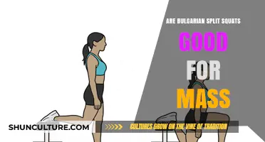 Bulgarian Split Squats: Effective for Building Mass?