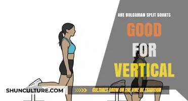 Boosting Vertical Leap: The Benefits of Bulgarian Split Squats