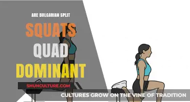 Unraveling the Myth: Bulgarian Split Squats and Quad Dominance