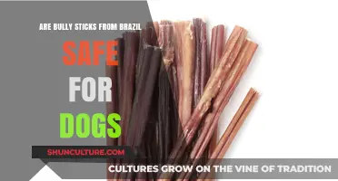 Are Brazilian Bully Sticks Safe for Your Dog? Find Out