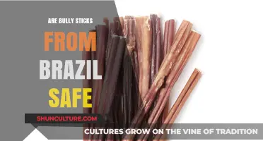 Are Brazilian Bully Sticks Safe for Dogs? A Comprehensive Guide