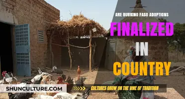 Finalizing Adoptions in Burkina Faso: An In-Country Journey