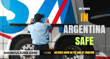 Exploring the Safety of Public Buses in Argentina: A Comprehensive Guide