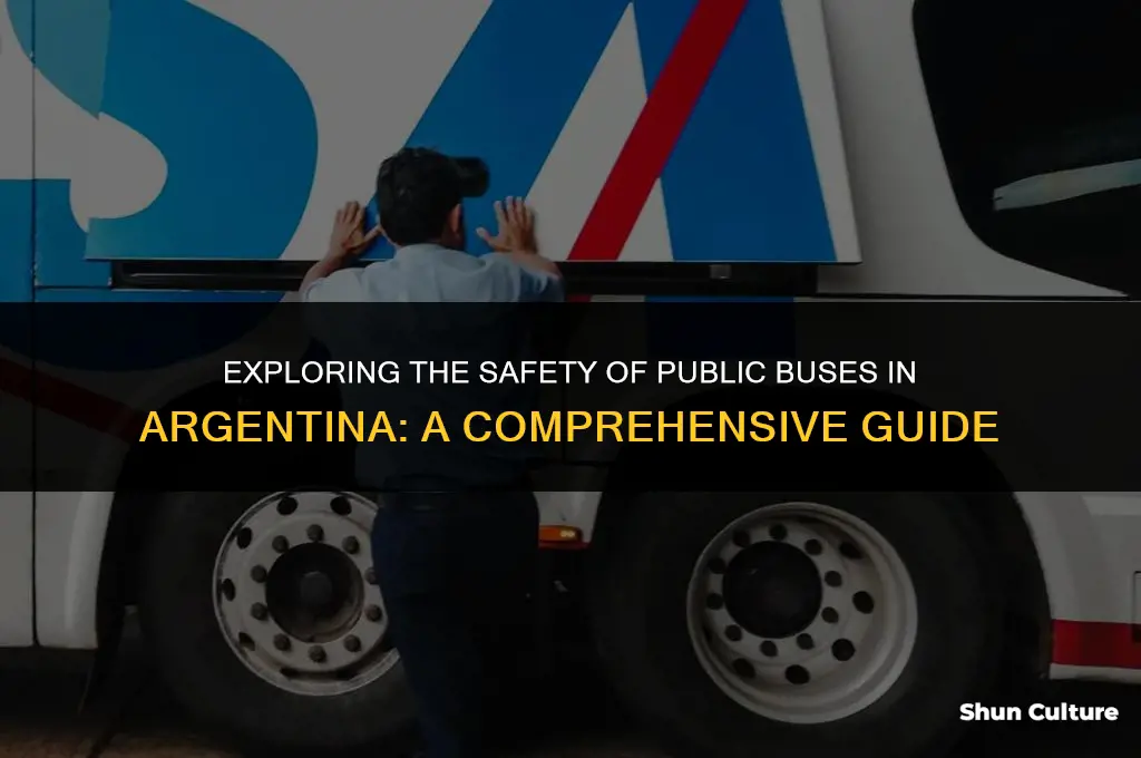 are buses in argentina safe