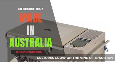 Bushman Fridge's Australian Origins: The Real Story