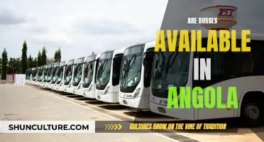 Exploring Angola: Are Buses Available for Travel?