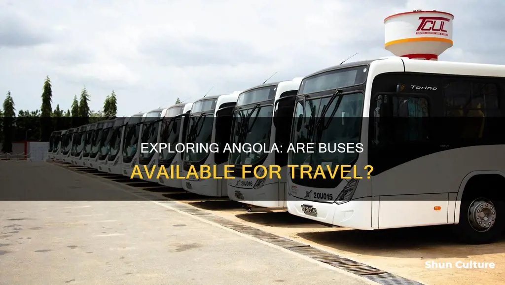 are busses available in angola