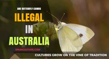Are Butterfly Combs Illegal in Australia? Legal Insights Explained