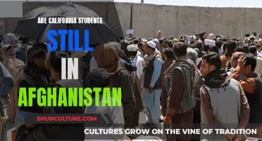 California Students in Afghanistan: A Lingering Educational Crisis