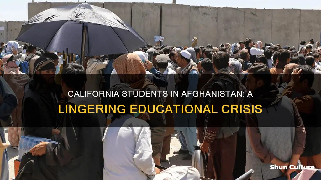 are california students still in afghanistan