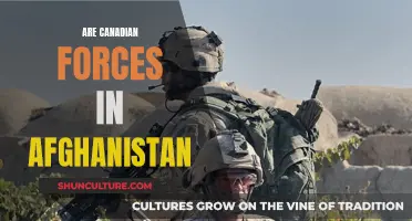 Canadian Forces' Role in Afghanistan: A Comprehensive Overview