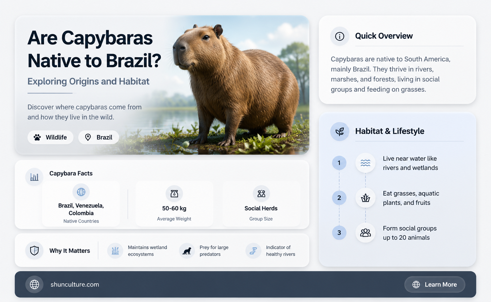 are capybara native to brazil