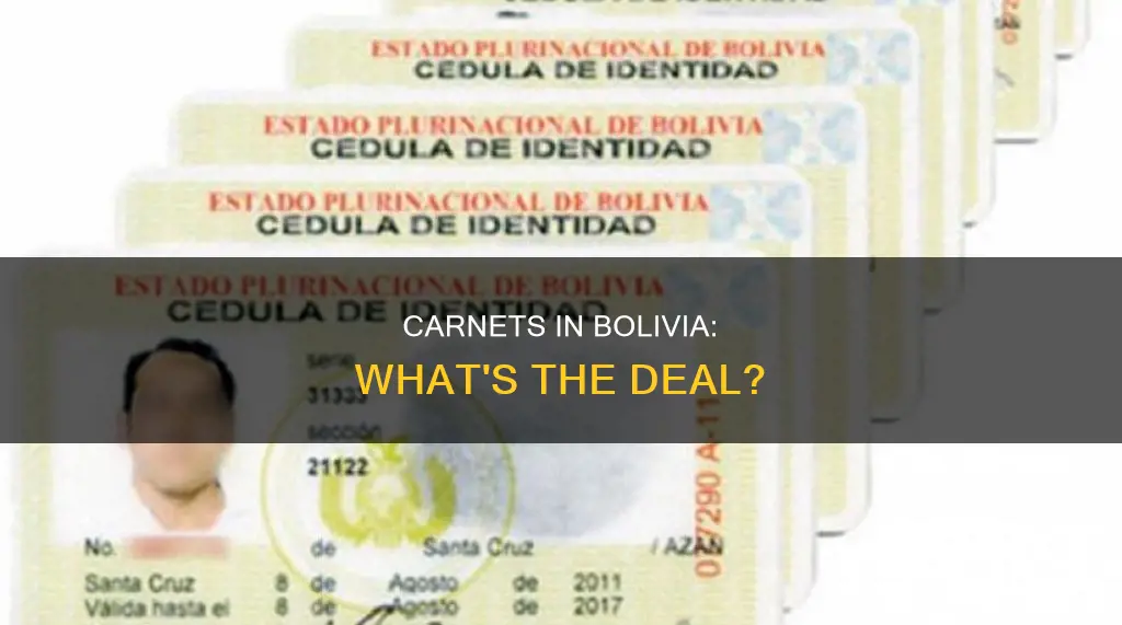 are carnets allows in bolivia