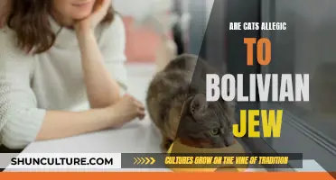 Can Bolivian Jewels Cause Allergies in Cats?