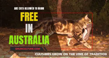 Cats in Australia: To Roam Free or Not?